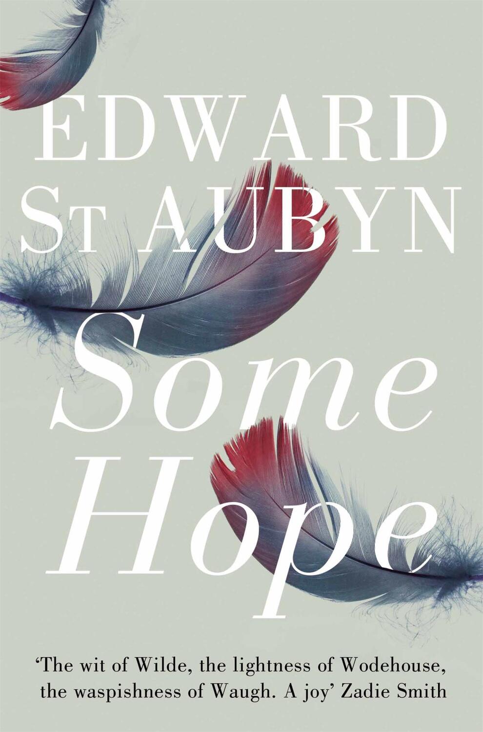 Cover: 9781447202967 | Some Hope | Edward St Aubyn | Taschenbuch | 209 S. | Englisch | 2012