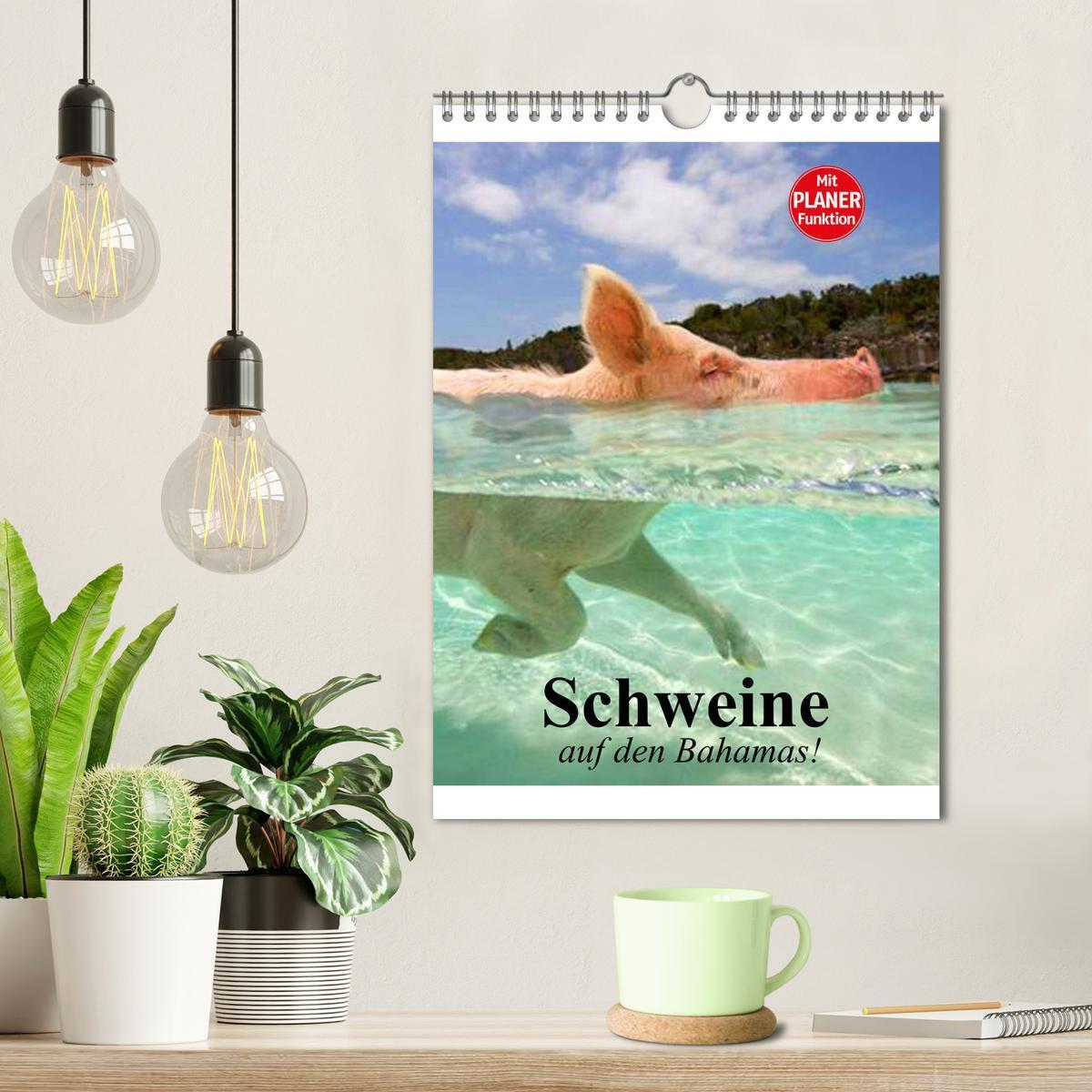 Bild: 9783457024799 | Schweine auf den Bahamas! (Wandkalender 2025 DIN A4 hoch), CALVENDO...