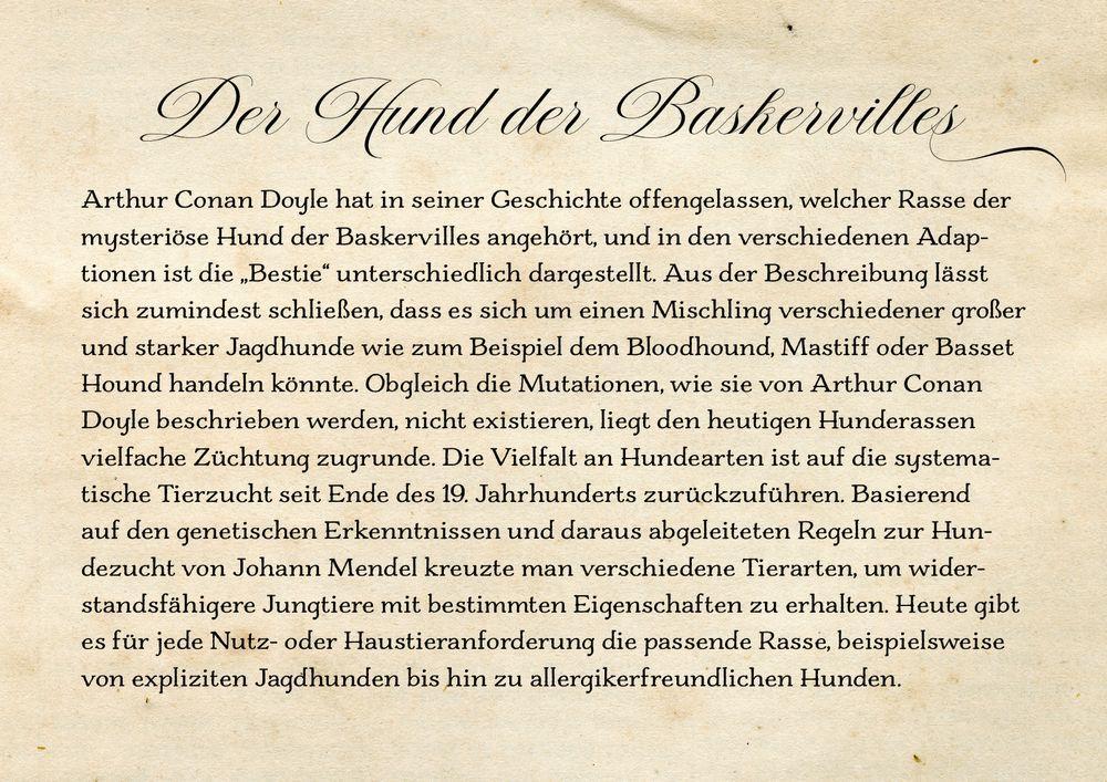 Bild: 9783649642237 | Sherlock Holmes Bd. 4 | Der Hund der Baskervilles | Arthur Conan Doyle