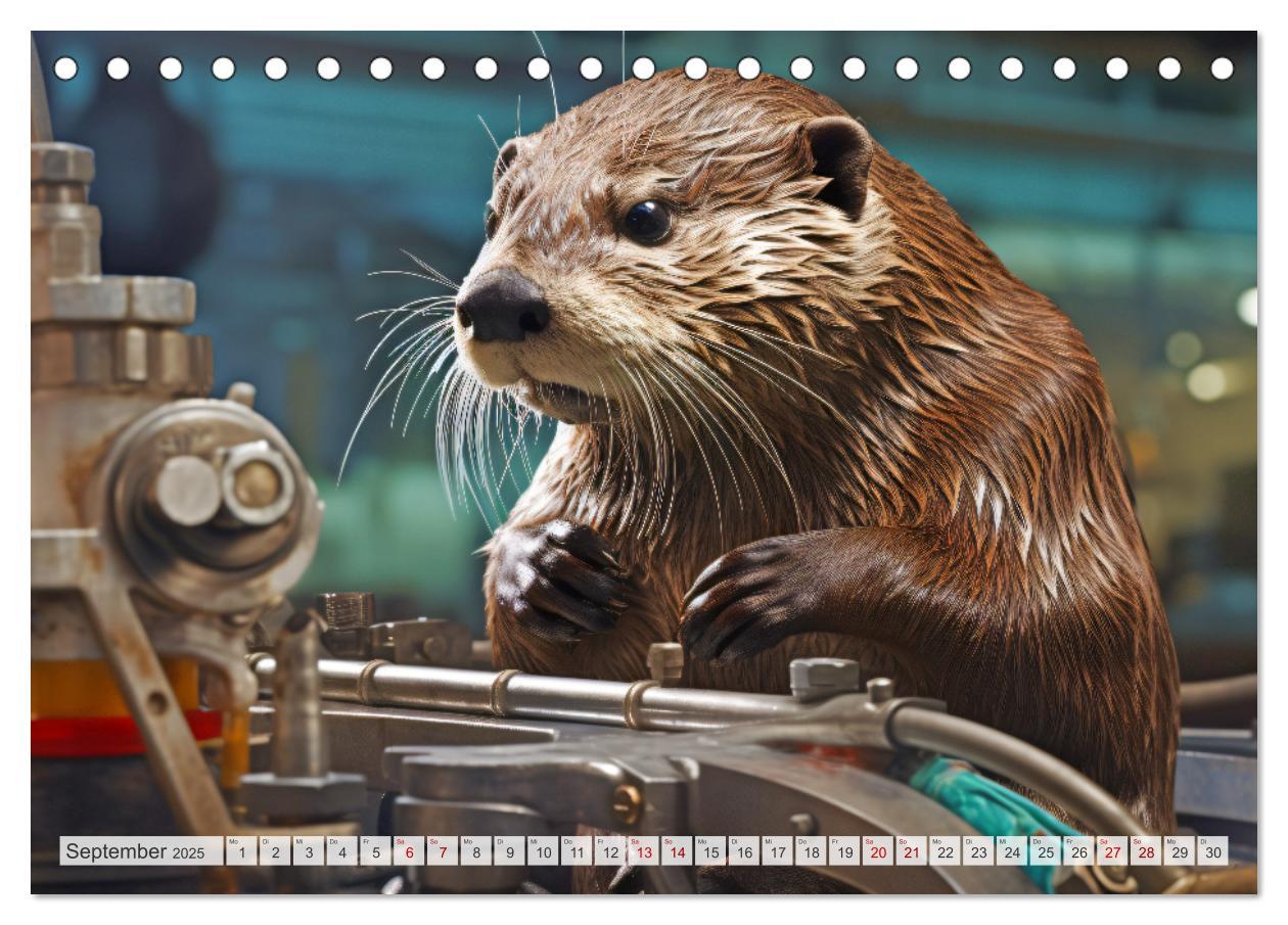 Bild: 9783383892721 | Otter bei der Arbeit (Tischkalender 2025 DIN A5 quer), CALVENDO...