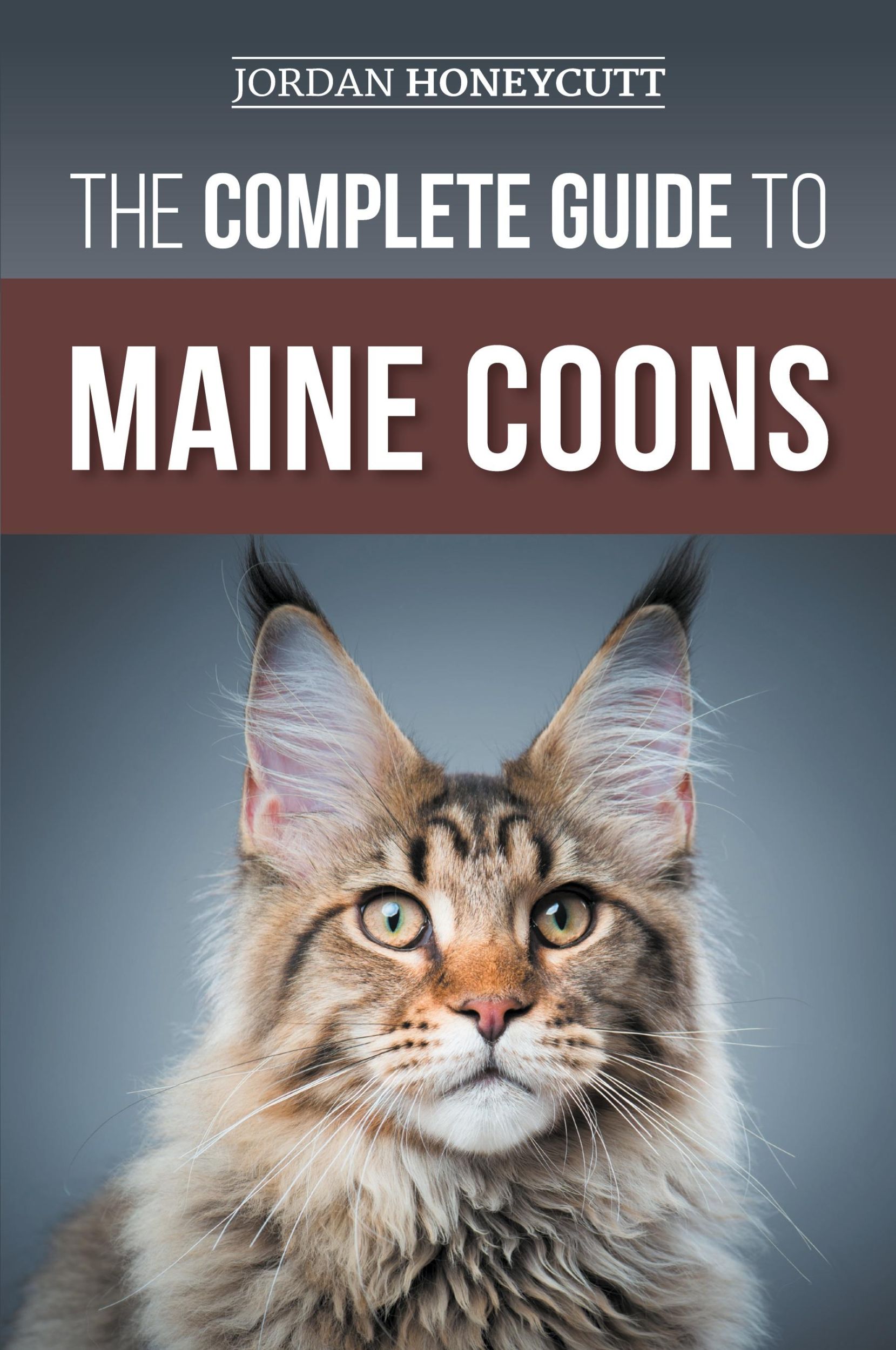 Cover: 9781954288508 | The Complete Guide to Maine Coons | Jordan Honeycutt | Taschenbuch