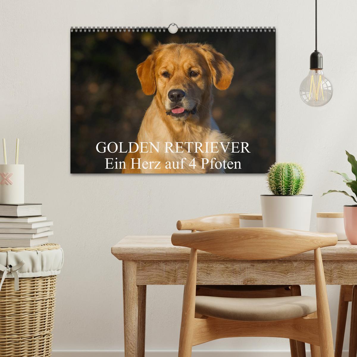 Bild: 9783435802050 | Golden Retriever - Ein Herz auf 4 Pfoten (Wandkalender 2025 DIN A3...