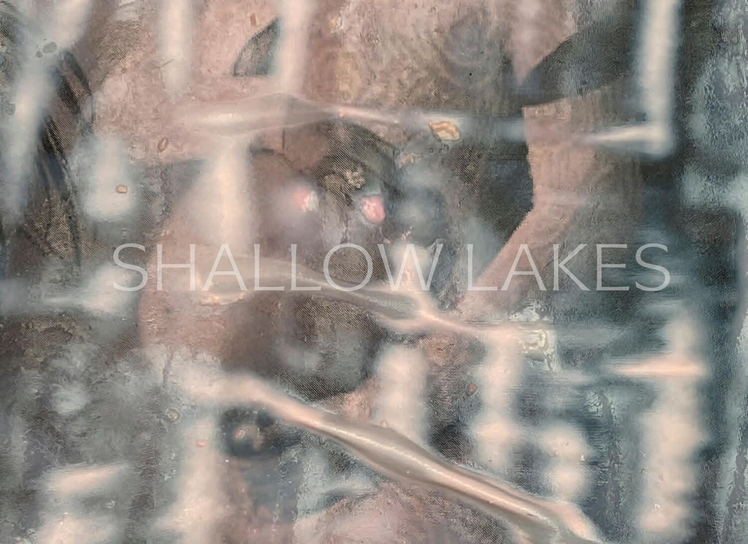 Cover: 9783954766451 | shallow lakes | Melike Kara | Melike Kara | Taschenbuch | 64 S. | 2024