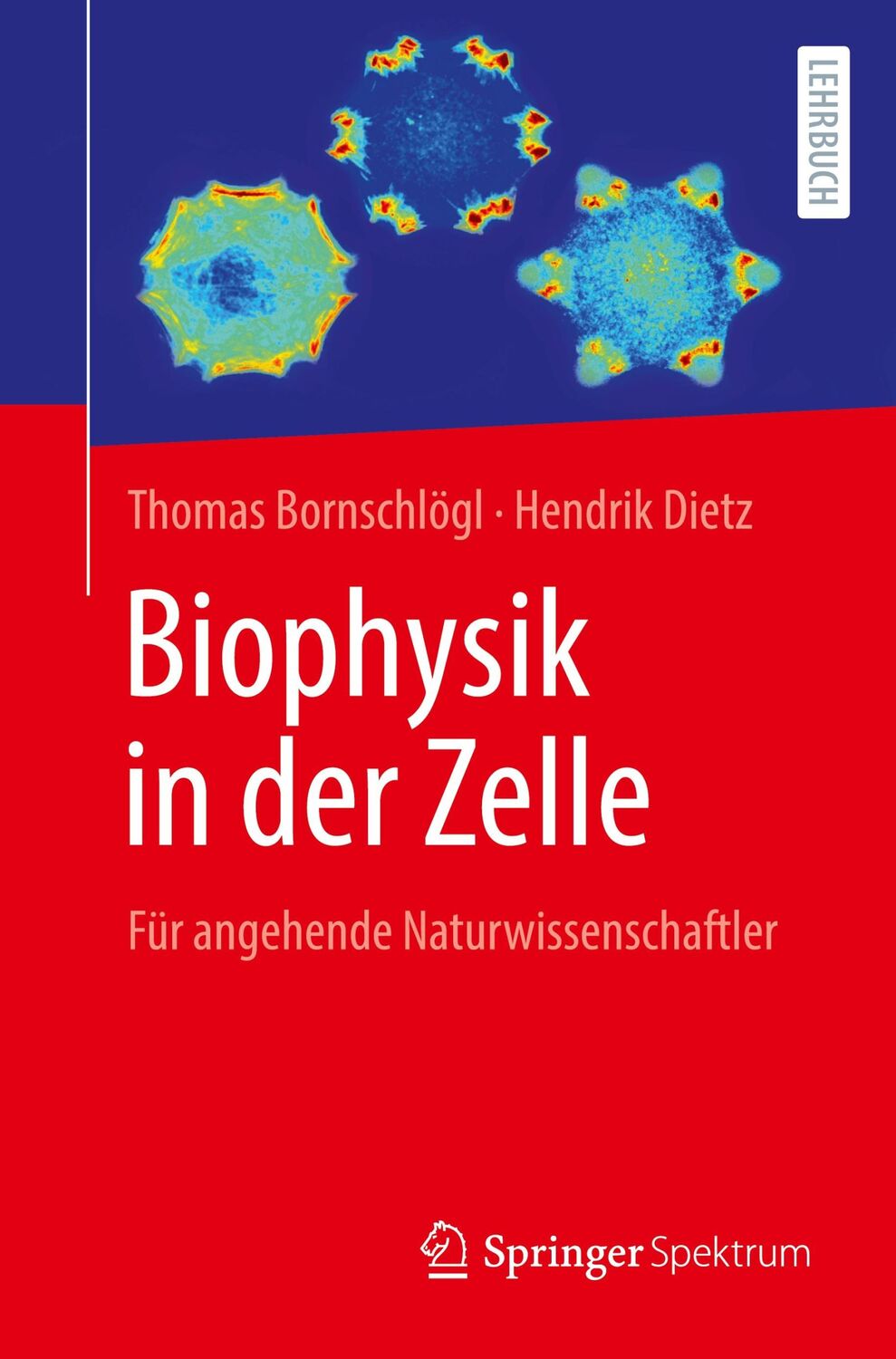 Cover: 9783662616086 | Biophysik in der Zelle | Für Studierende der Naturwissenschaften | x