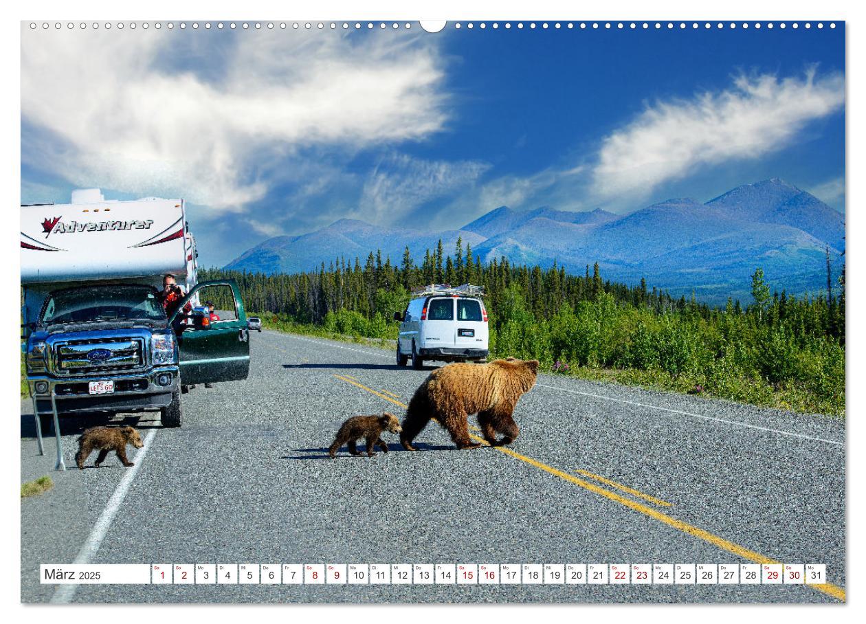 Bild: 9783383887390 | KANADA - Die Bären der Rocky Mountains (Wandkalender 2025 DIN A2...