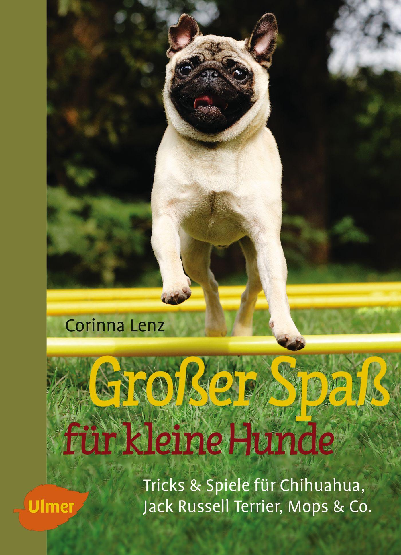 Cover: 9783800112623 | Großer Spaß für kleine Hunde | Corinna Lenz | Buch | 96 S. | Deutsch