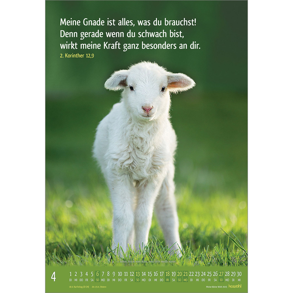 Bild: 9783754845059 | Meine kleine Welt 2025 | Tierkalender mit Bibelworten | Kalender