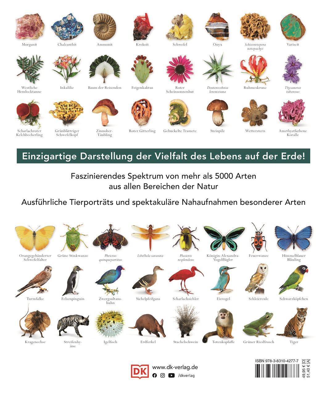 Rückseite: 9783831042777 | Die Natur in über 5000 Fotos | David Burnie | Buch | 664 S. | Deutsch