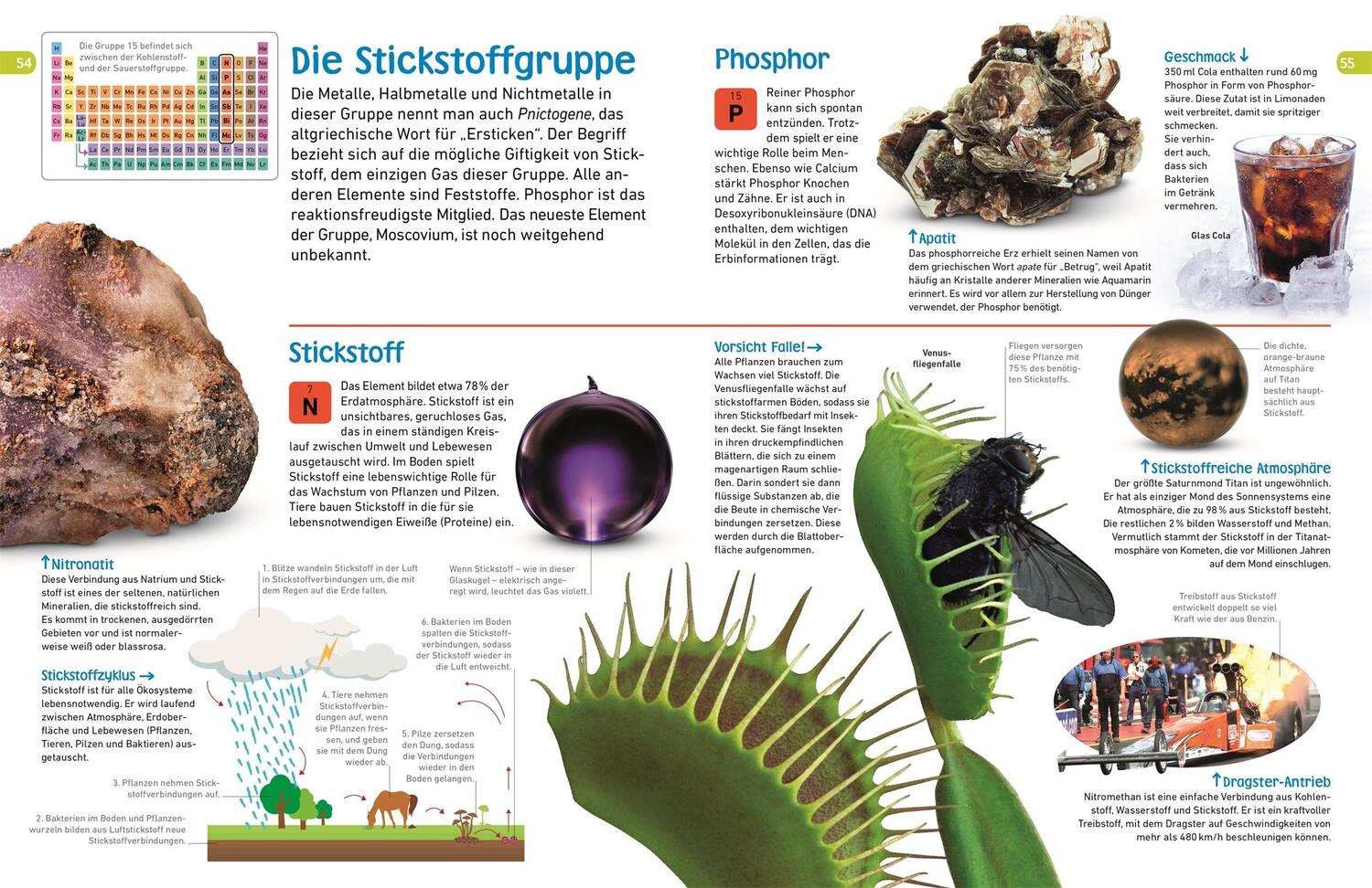 Bild: 9783831035458 | memo Wissen entdecken. Chemische Elemente | Buch | mit Poster | 72 S.