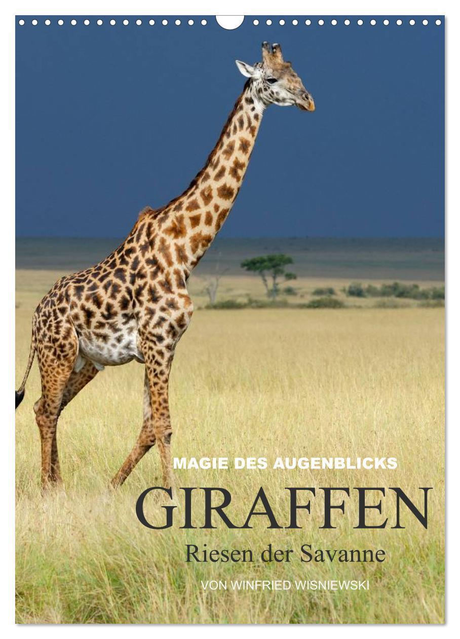 Cover: 9783457068632 | Magie des Augenblicks - Giraffen - Riesen der Savanne (Wandkalender...