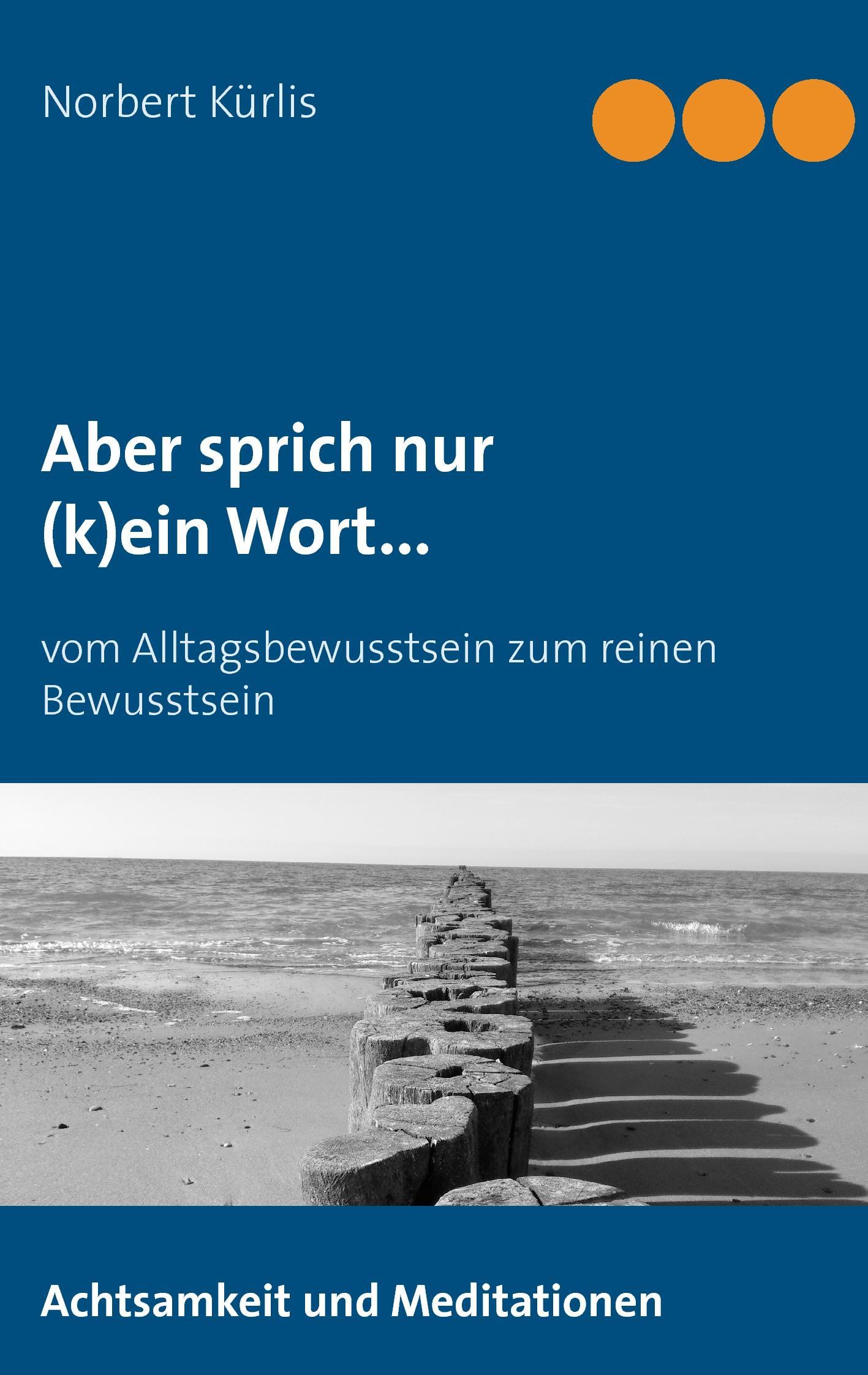 Cover: 9783738612325 | Aber sprich nur (k)ein Wort... | Norbert Kürlis | Taschenbuch | 260 S.