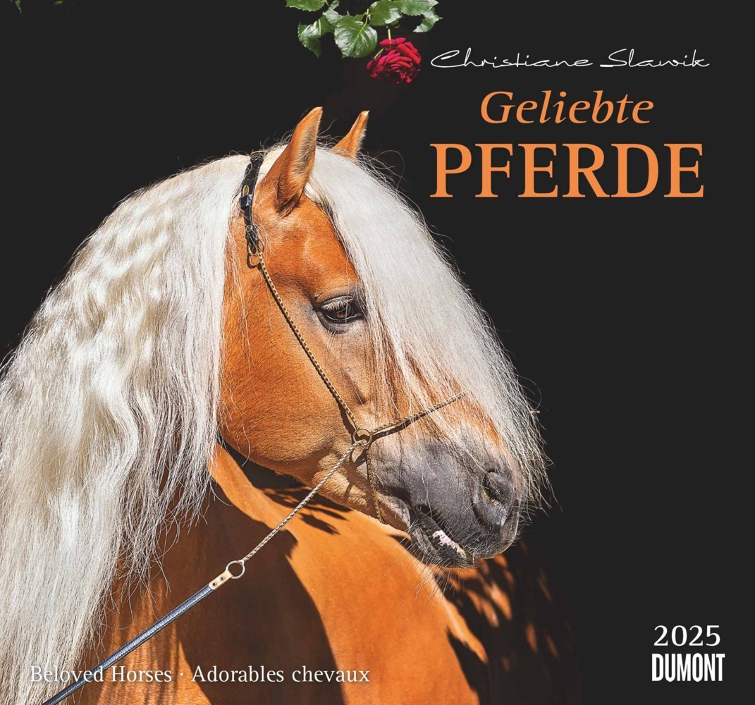 Cover: 4250809653891 | DUMONT - Geliebte Pferde 2025 Wandkalender, 38x35,5cm,...