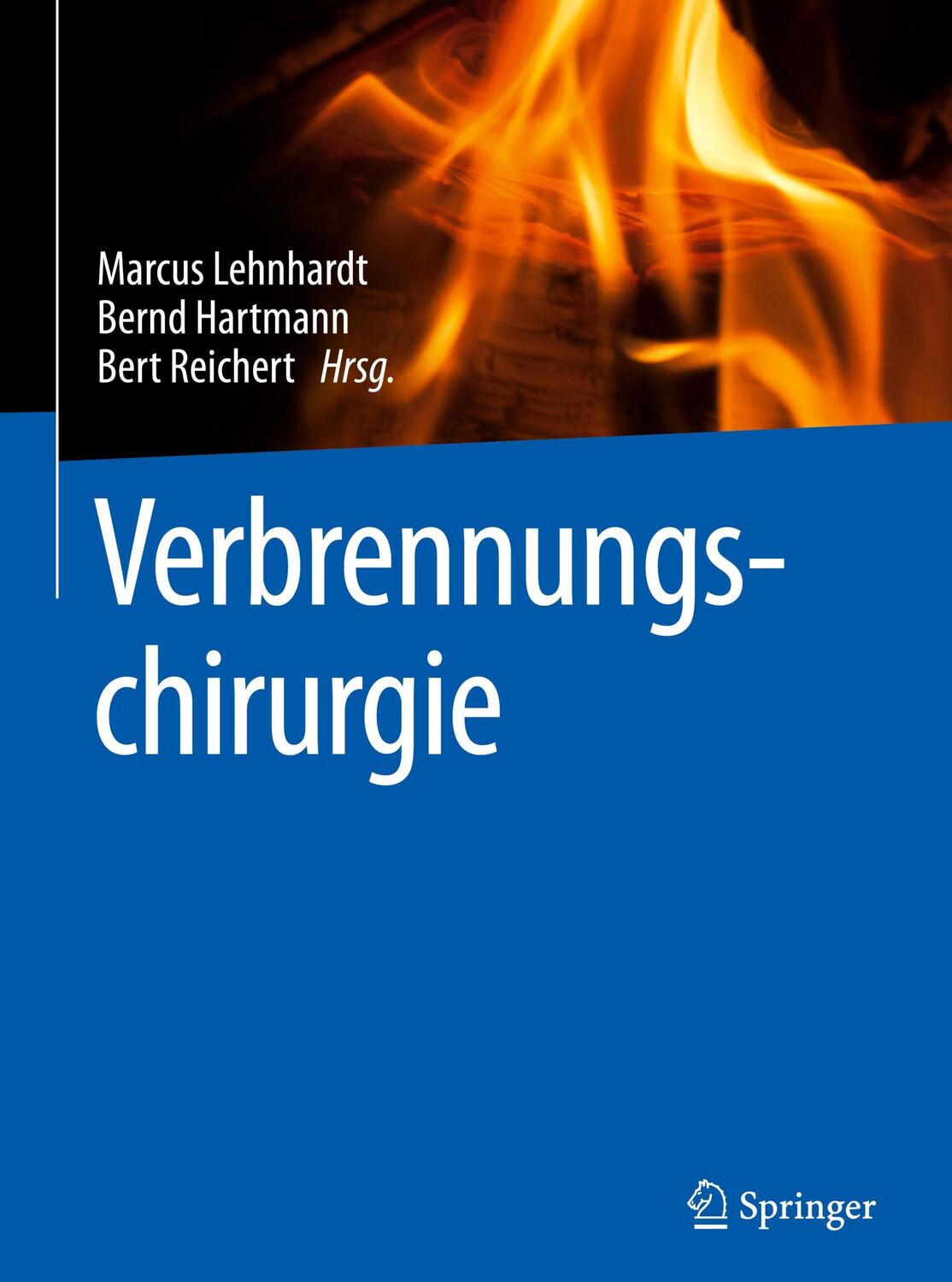 Cover: 9783642544439 | Verbrennungschirurgie | Marcus Lehnhardt (u. a.) | Buch | xix | 2016