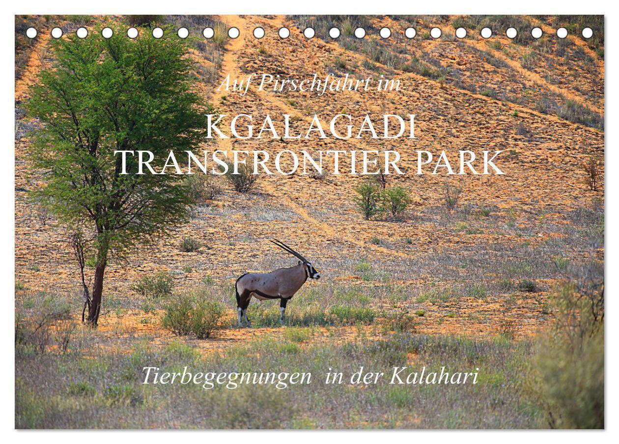 Cover: 9783383920851 | Auf Pirschfahrt im Kgalagadi Transfrontier Park (Tischkalender 2025...