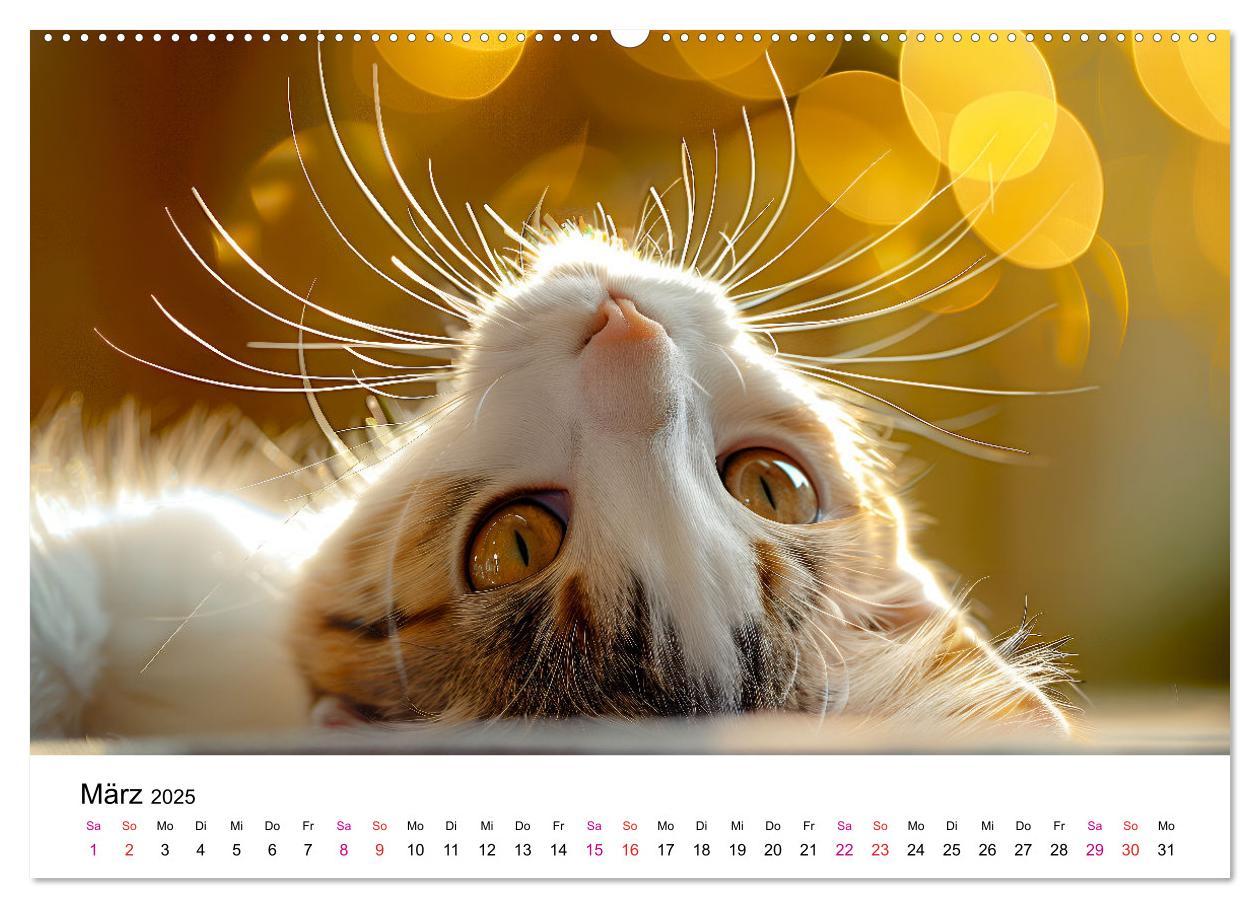 Bild: 9783457218310 | Katzenzauber - Samtpfoten im Jahreslauf (Wandkalender 2025 DIN A2...