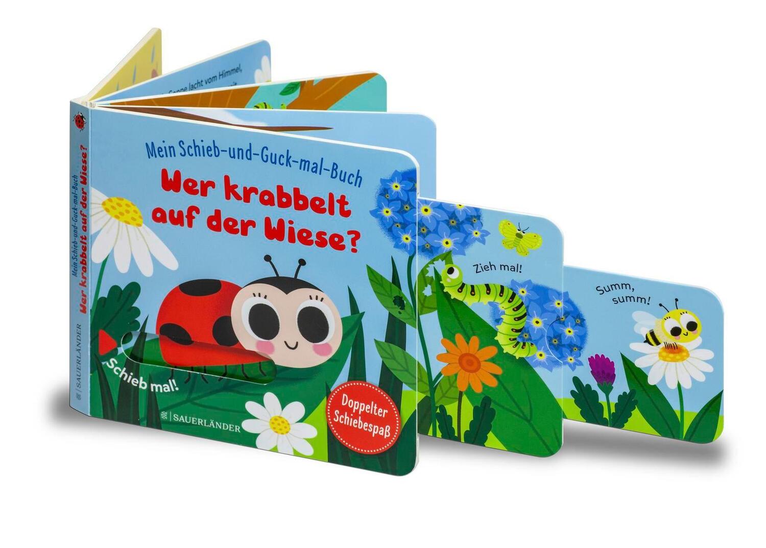 Bild: 9783737358170 | Mein Schieb &amp; Guck-mal-Buch: Wer krabbelt auf der Wiese? | Menge