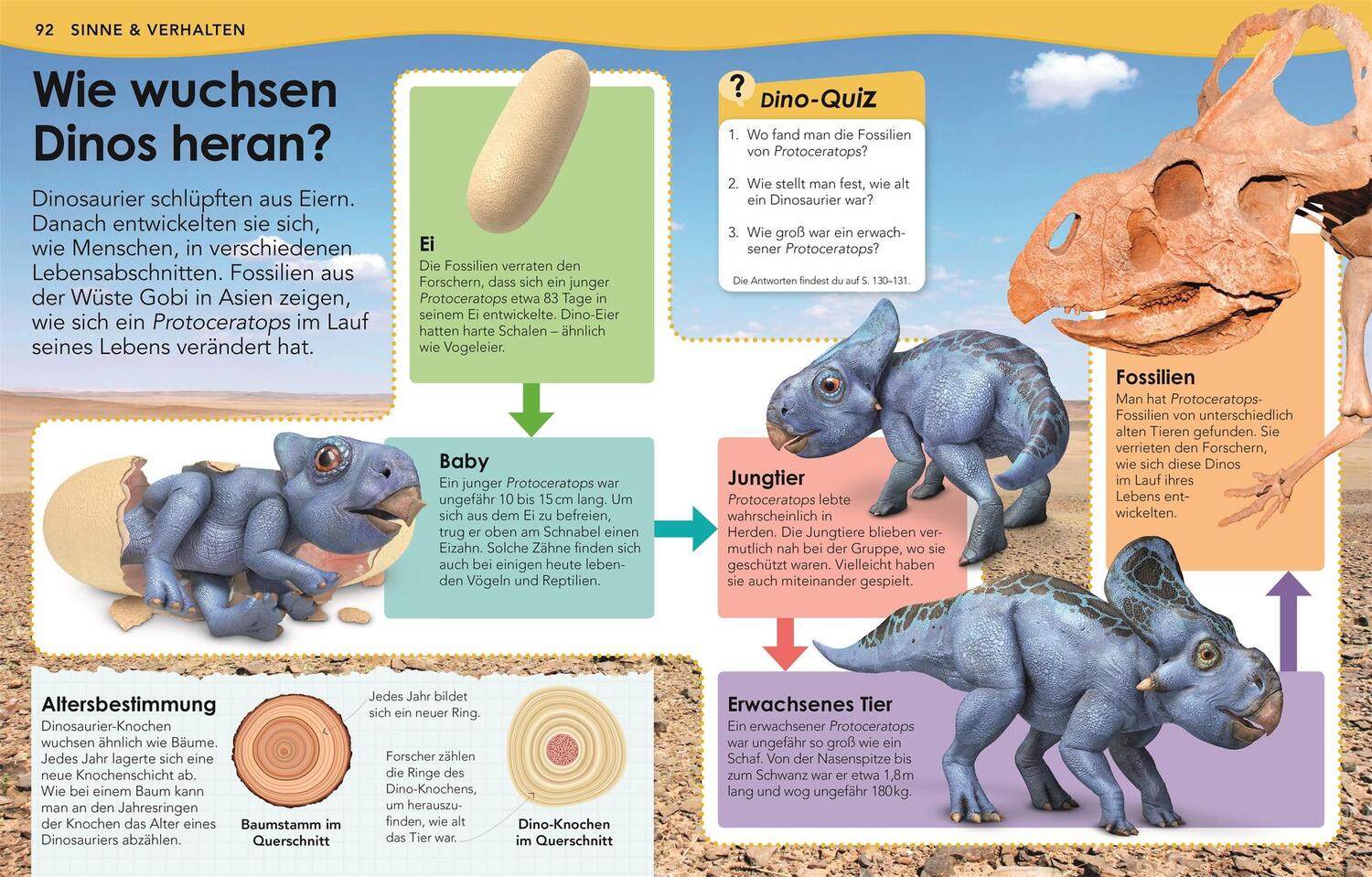 Bild: 9783831040582 | Weshalb? Deshalb! Dinos | Das Frage-und-Antwort-Lexikon | Buch | 2020