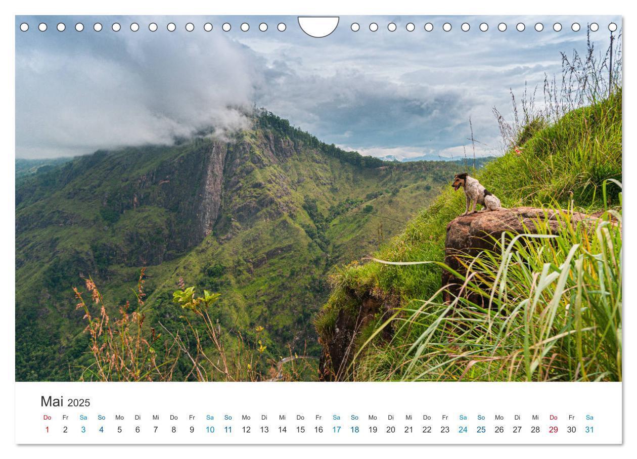 Bild: 9783435150786 | Traumziel Sri Lanka (Wandkalender 2025 DIN A4 quer), CALVENDO...