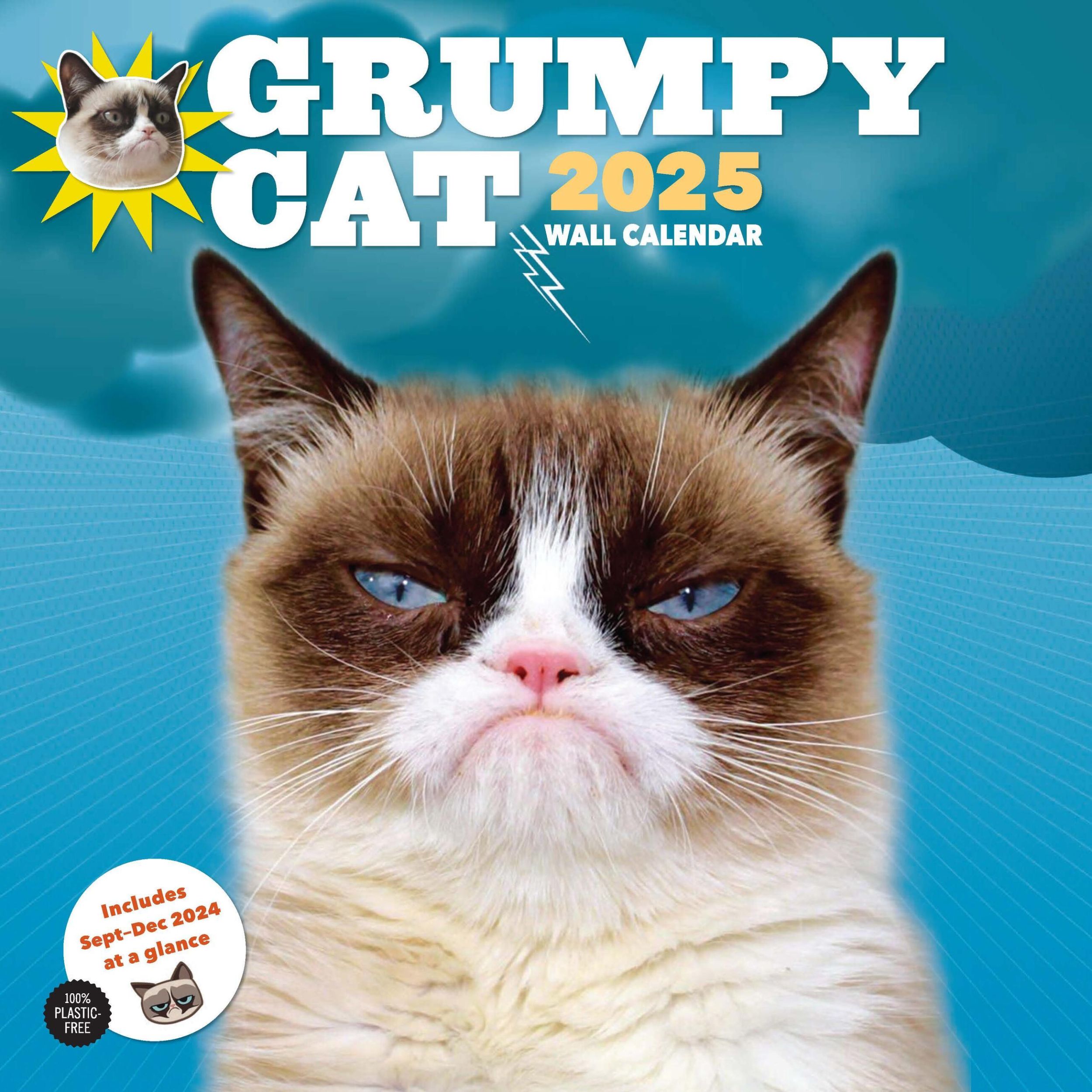 Cover: 9781797229959 | Grumpy Cat 2025 Wall Calendar | Grumpy Cat | Kalender | 24 S. | 2025