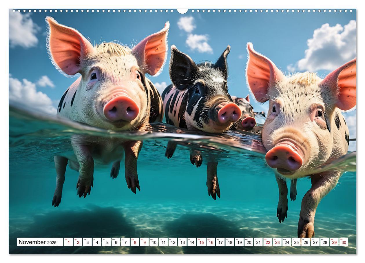 Bild: 9783383834738 | Schwimmende Schweine im Paradies (Wandkalender 2025 DIN A2 quer),...