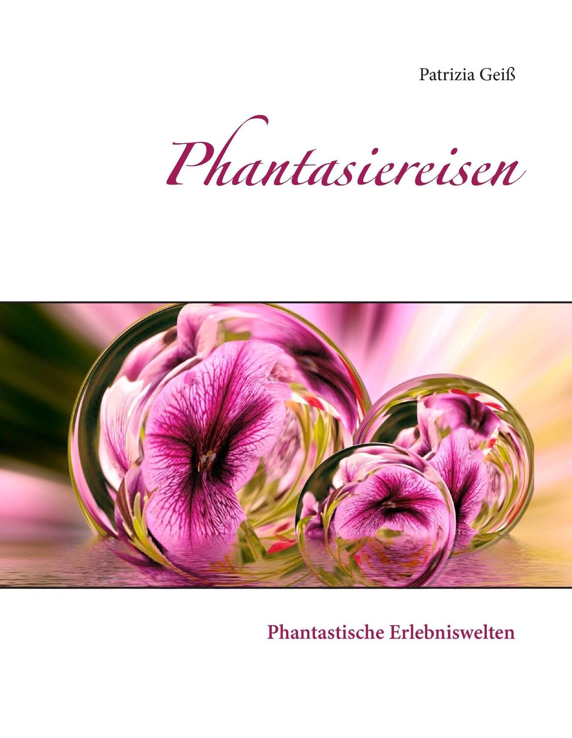 Cover: 9783740731465 | Phantasiereisen | Patrizia Geiß | Buch | HC runder Rücken kaschiert