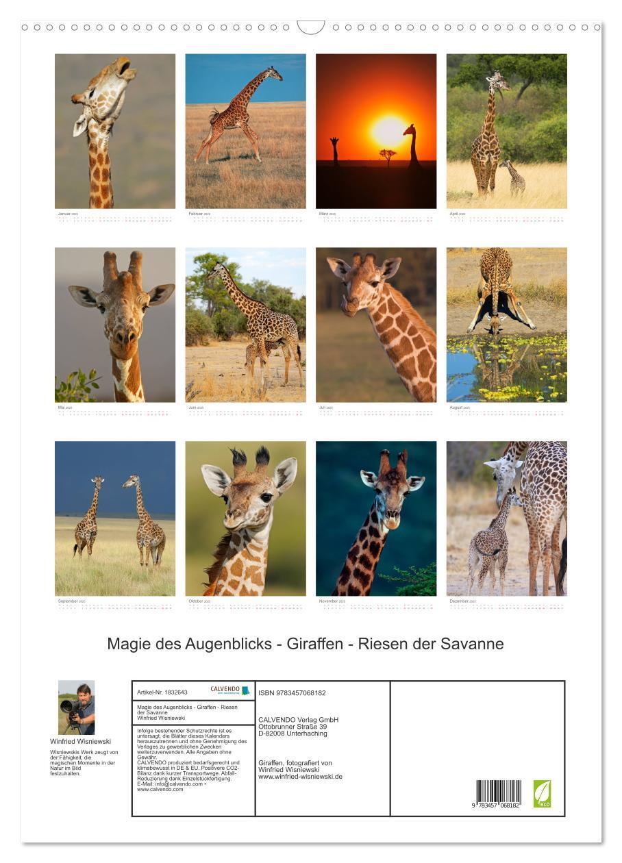 Bild: 9783457068182 | Magie des Augenblicks - Giraffen - Riesen der Savanne (Wandkalender...