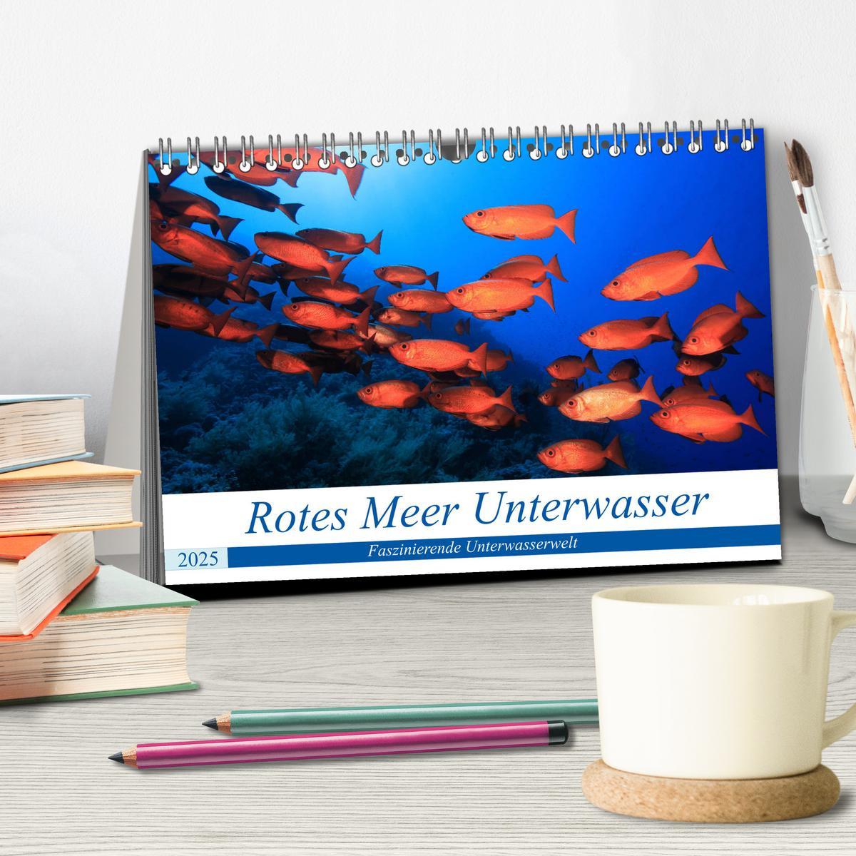 Bild: 9783435154265 | Rotes Meer Unterwasser (Tischkalender 2025 DIN A5 quer), CALVENDO...