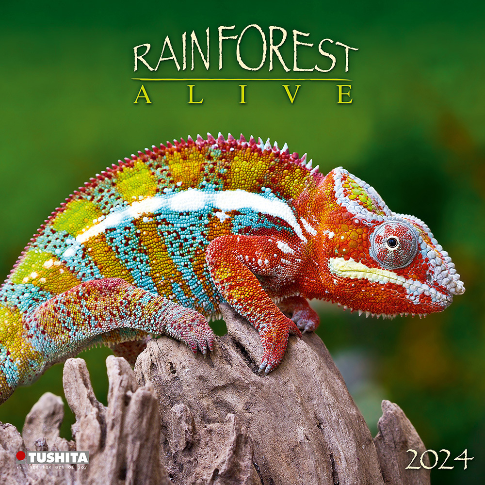 Cover: 9783959292467 | Rainforest Alive 2024 | Kalender 2024 | Kalender | Drahtheftung | 2024