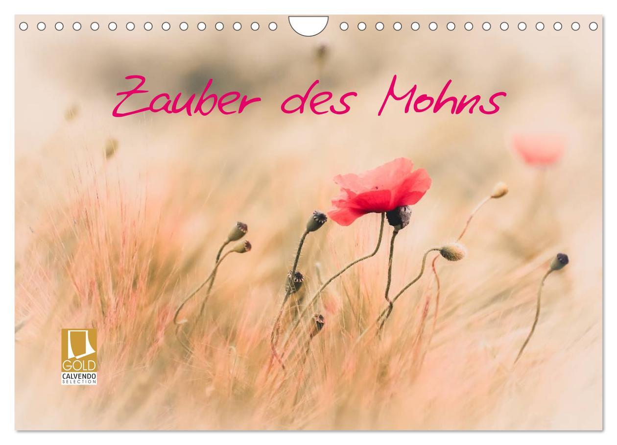 Cover: 9783435665761 | Zauber des Mohns (Wandkalender 2025 DIN A4 quer), CALVENDO...