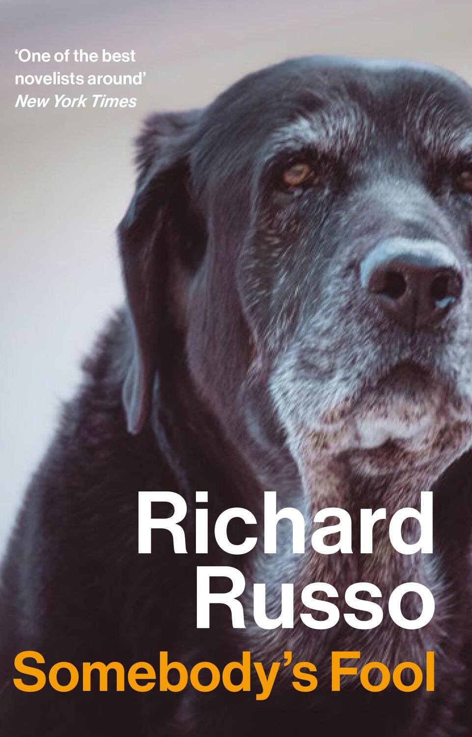 Cover: 9781838959616 | Somebody's Fool | Richard Russo | Taschenbuch | Englisch | 2024