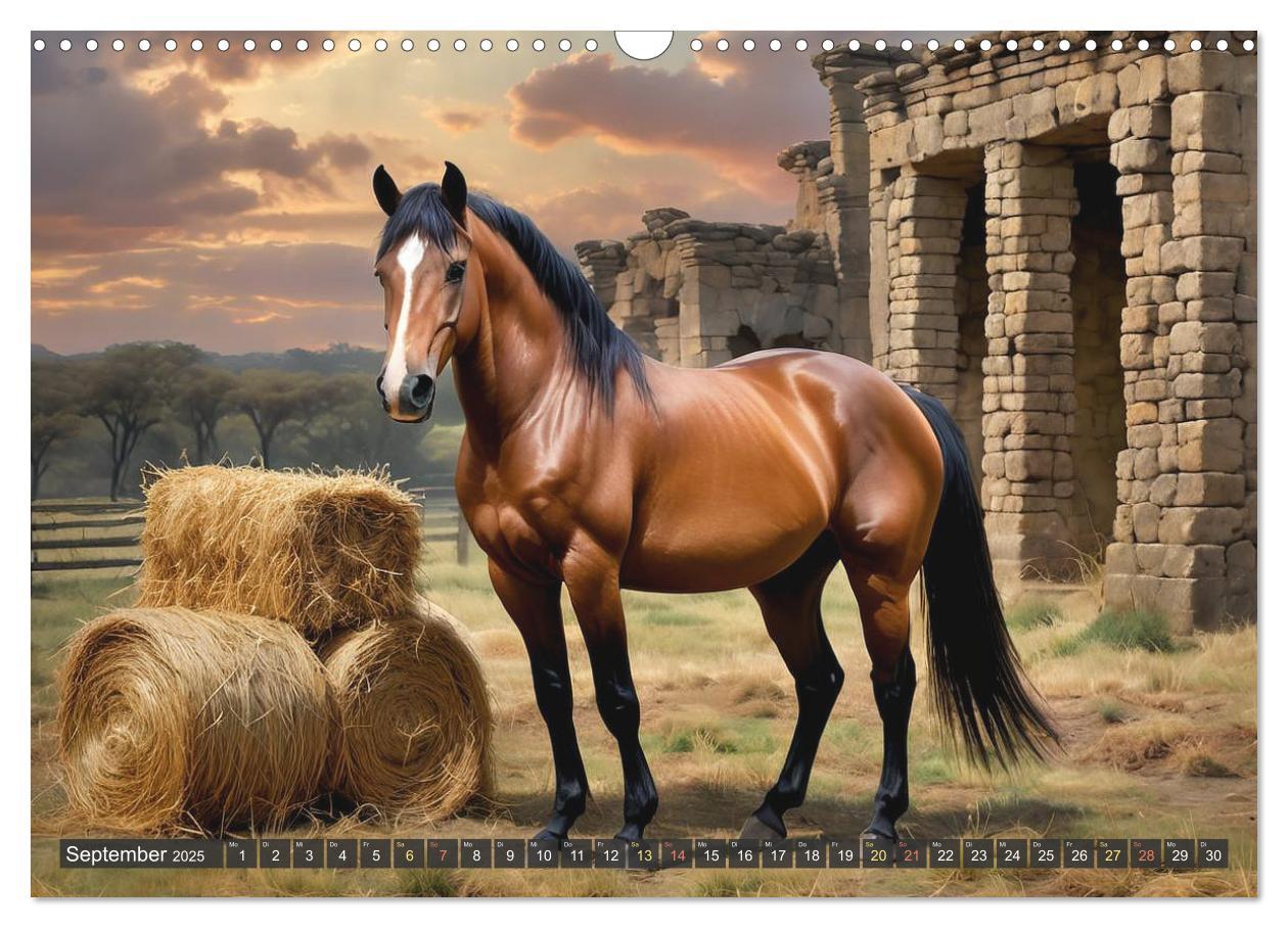 Bild: 9783457171004 | Schöne wilde Mustangs (Wandkalender 2025 DIN A3 quer), CALVENDO...