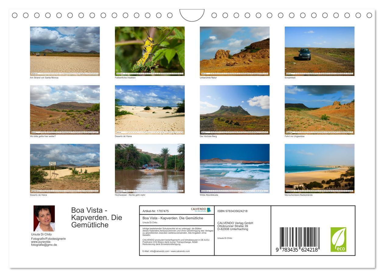 Bild: 9783435624218 | Boa Vista - Kapverden. Die Gemütliche (Wandkalender 2025 DIN A4...