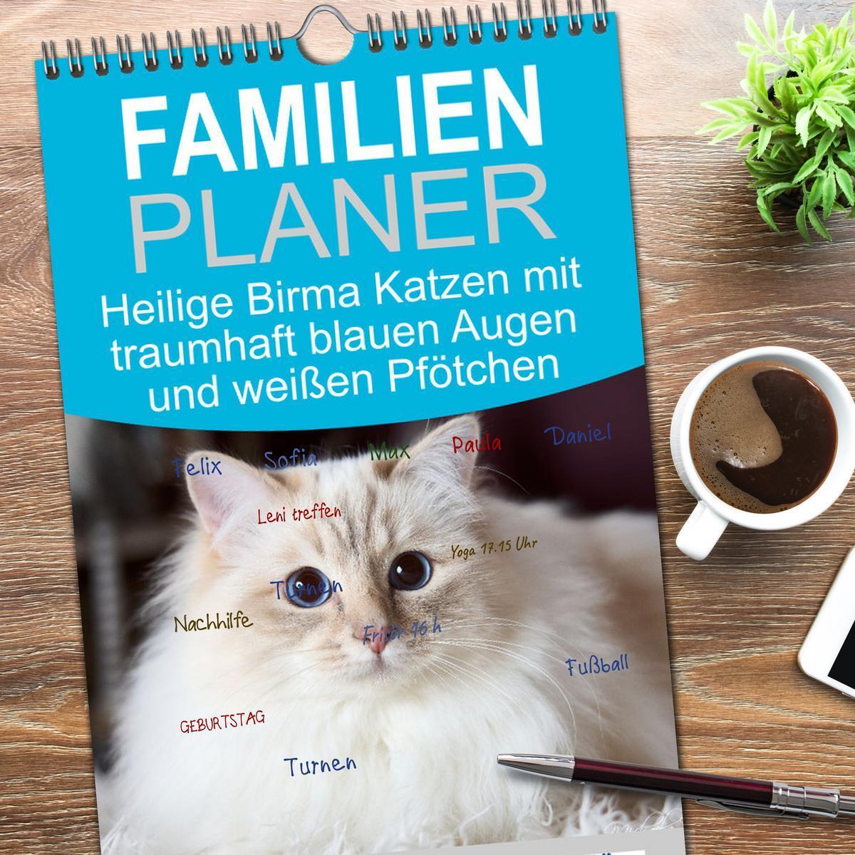 Bild: 9783457193303 | Familienplaner 2025 - Heilige Birma Katzen mit traumhaft blauen...