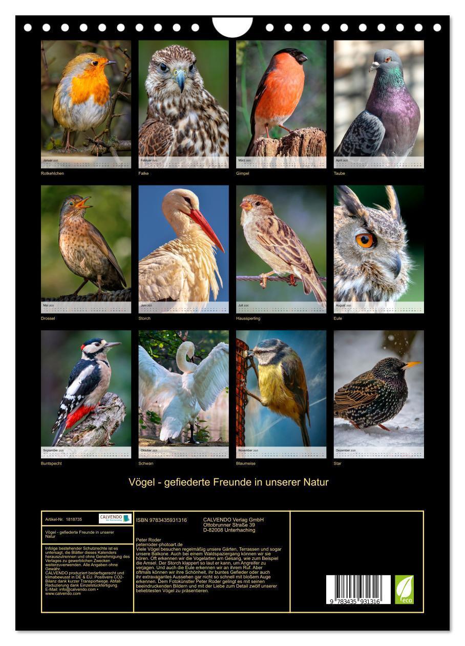 Bild: 9783435931316 | Vögel - gefiederte Freunde in unserer Natur (Wandkalender 2025 DIN...