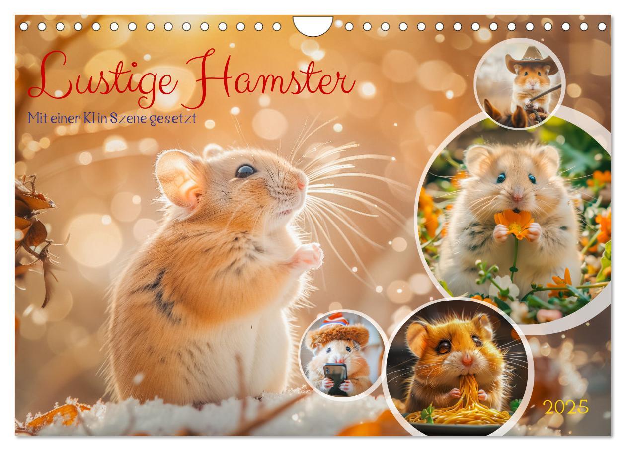 Cover: 9783435069958 | Lustige Hamster (Wandkalender 2025 DIN A4 quer), CALVENDO...