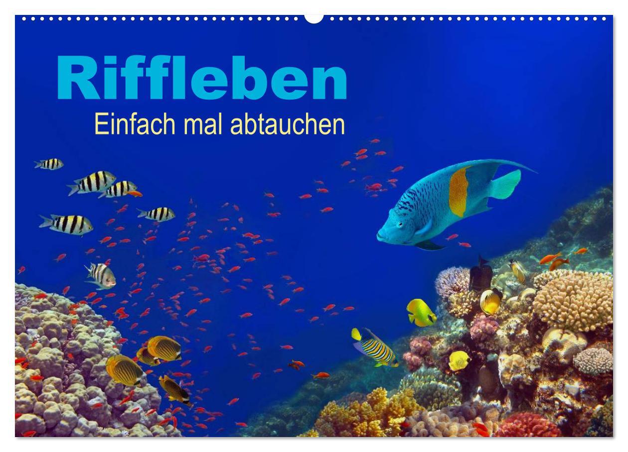 Cover: 9783435607198 | Riffleben - Einfach mal abtauchen (Wandkalender 2025 DIN A2 quer),...