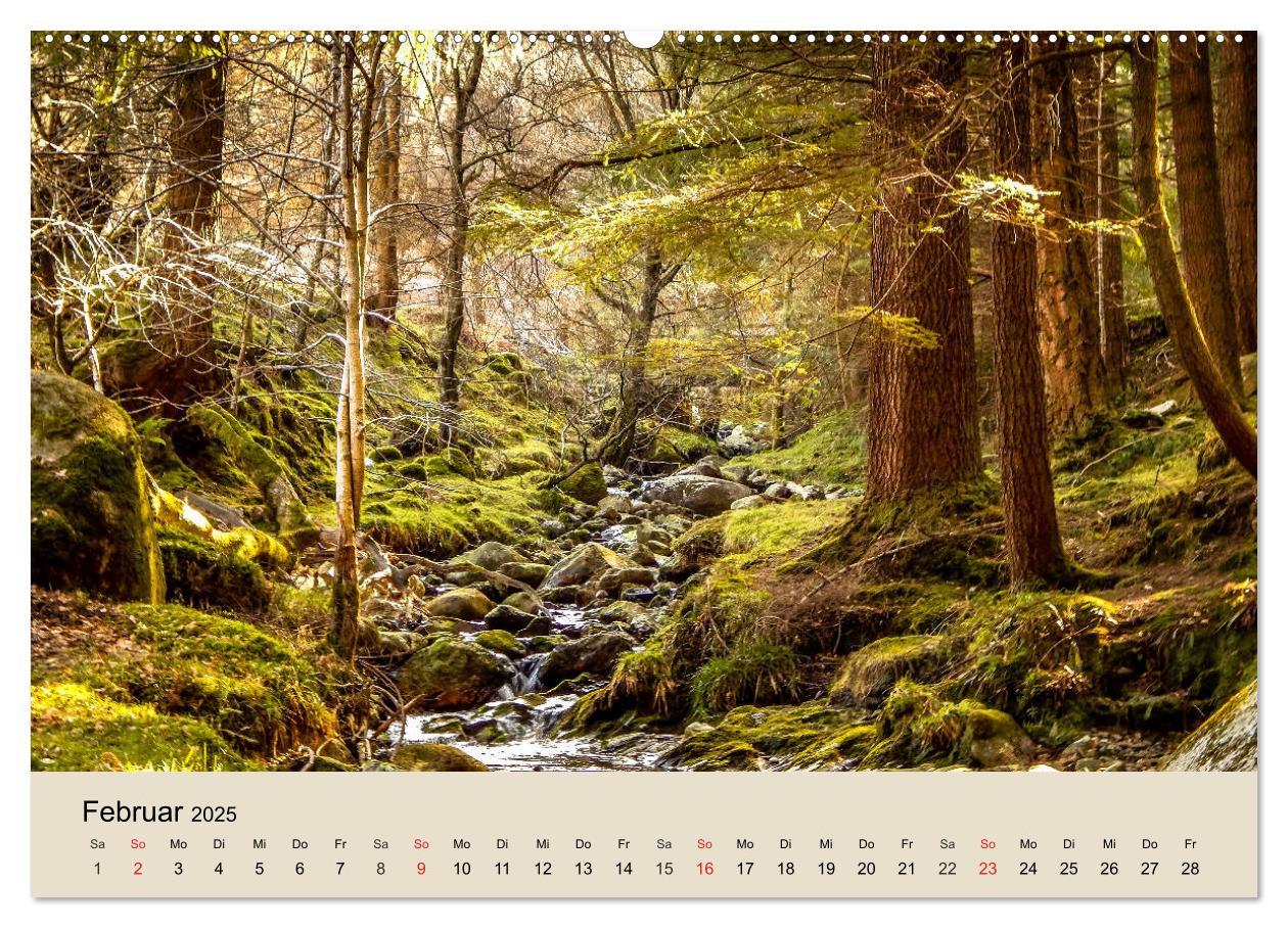 Bild: 9783435317714 | Der Wald. Durch zauberhafte Waldlandschaften (Wandkalender 2025 DIN...