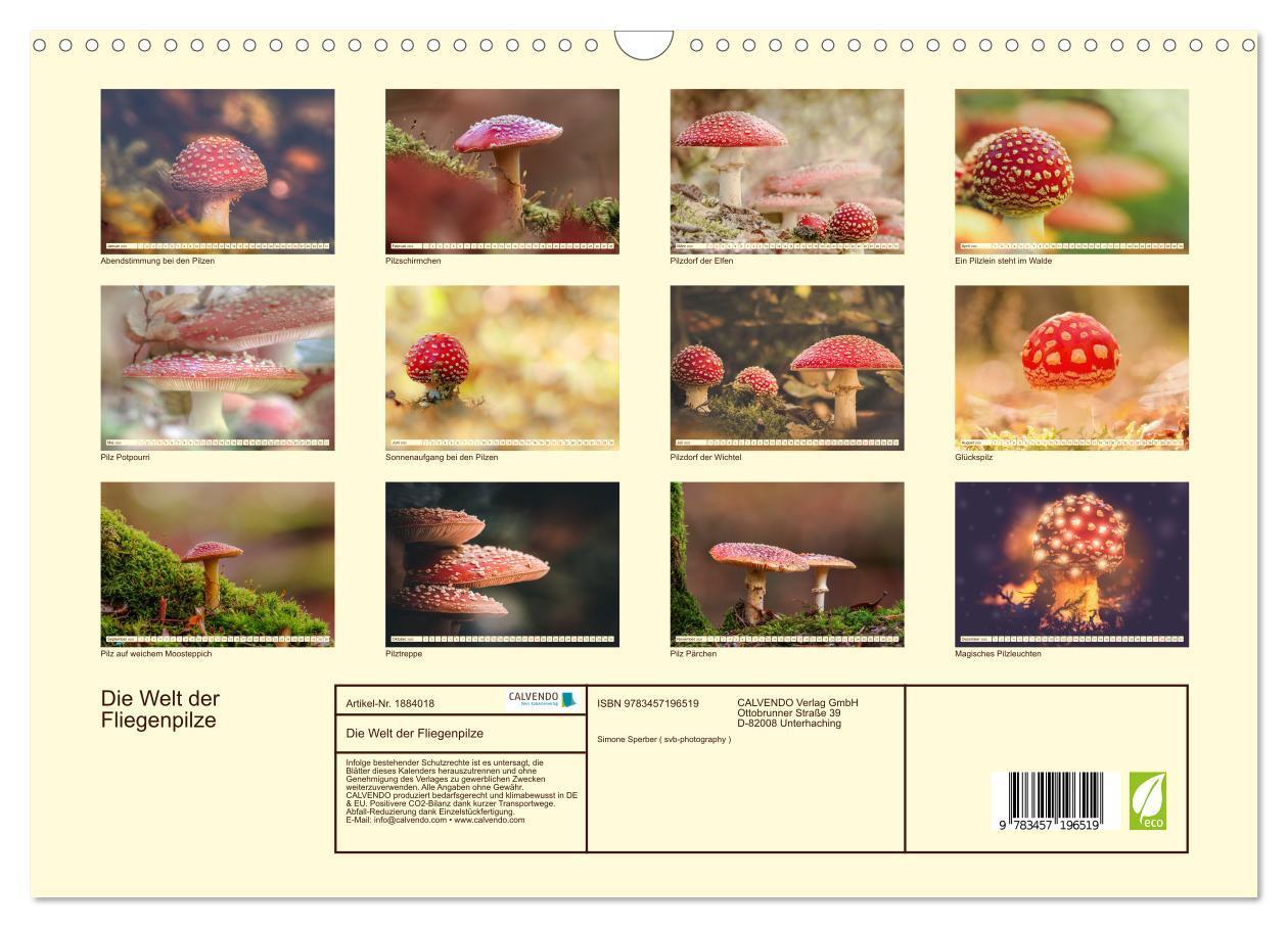 Bild: 9783457196519 | Die Welt der Fliegenpilze (Wandkalender 2025 DIN A3 quer), CALVENDO...