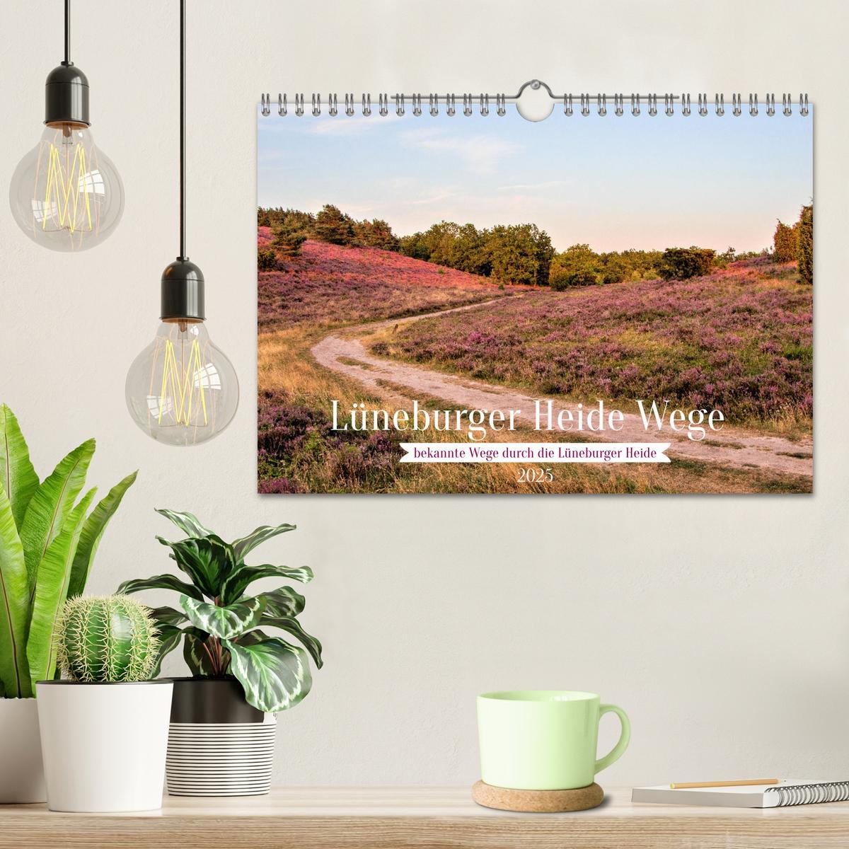 Bild: 9783435030514 | Lüneburger Heide Wege (Wandkalender 2025 DIN A4 quer), CALVENDO...