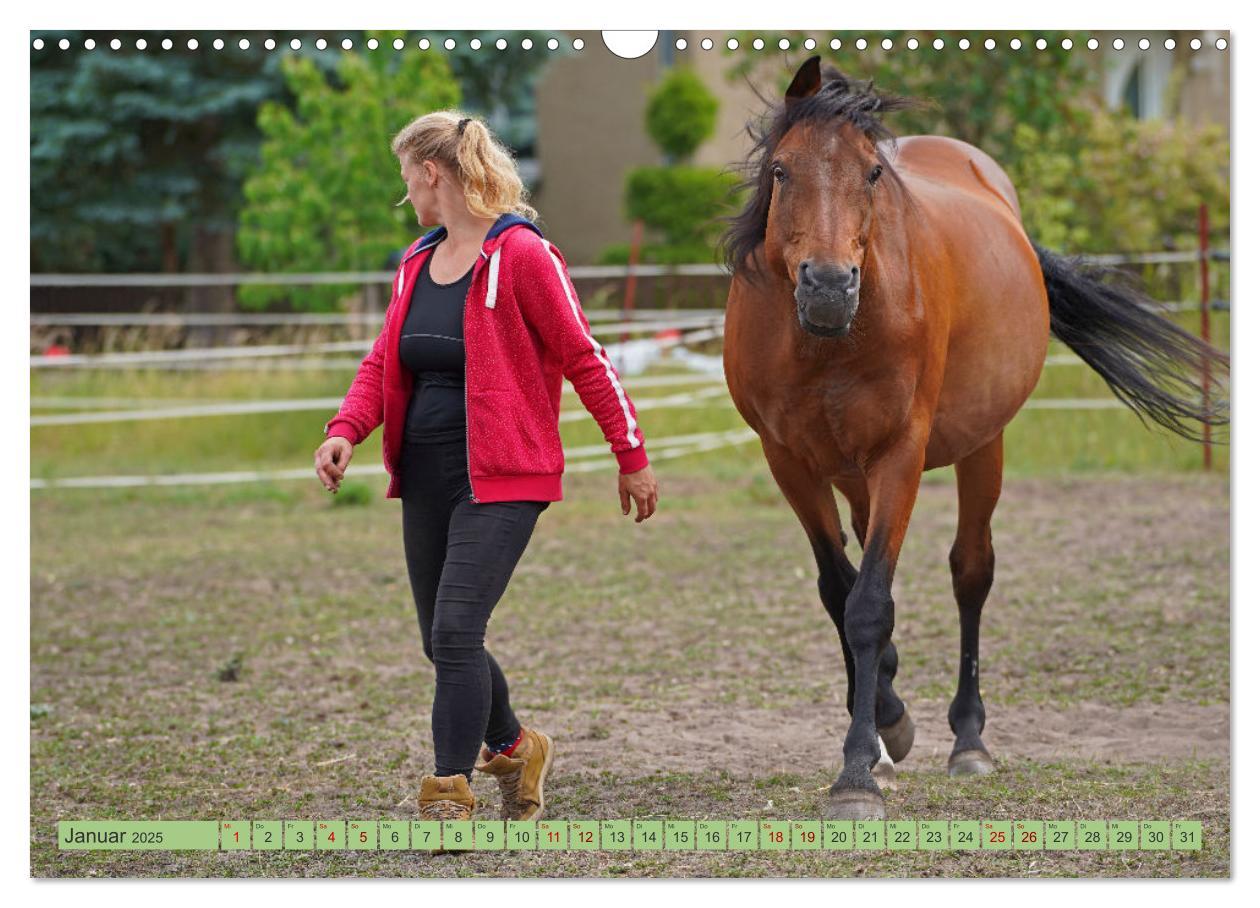 Bild: 9783383945854 | Faszination Trakehner (Wandkalender 2025 DIN A3 quer), CALVENDO...