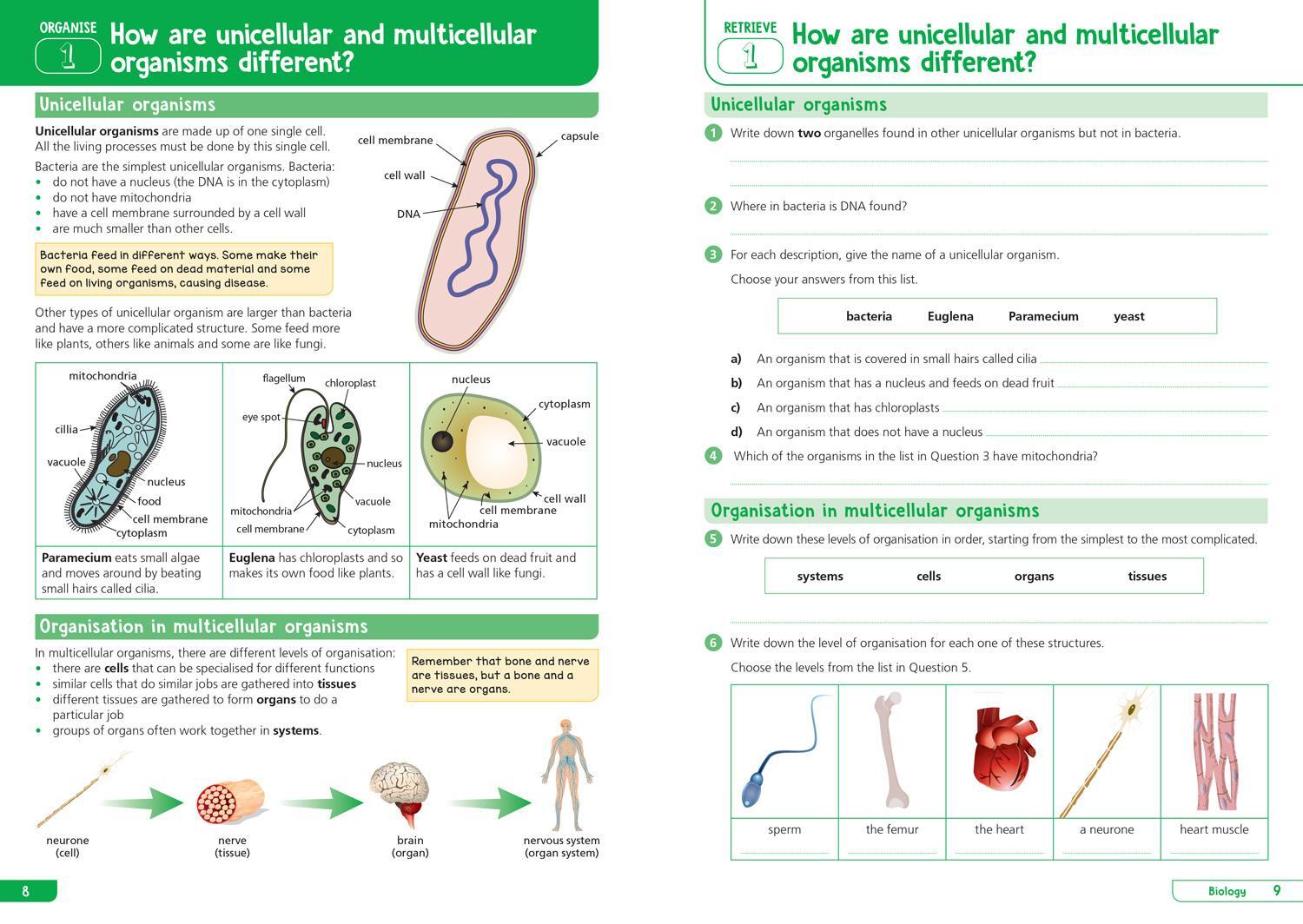 Bild: 9780008598679 | KS3 Science Year 7: Organise and retrieve your knowledge | Collins KS3