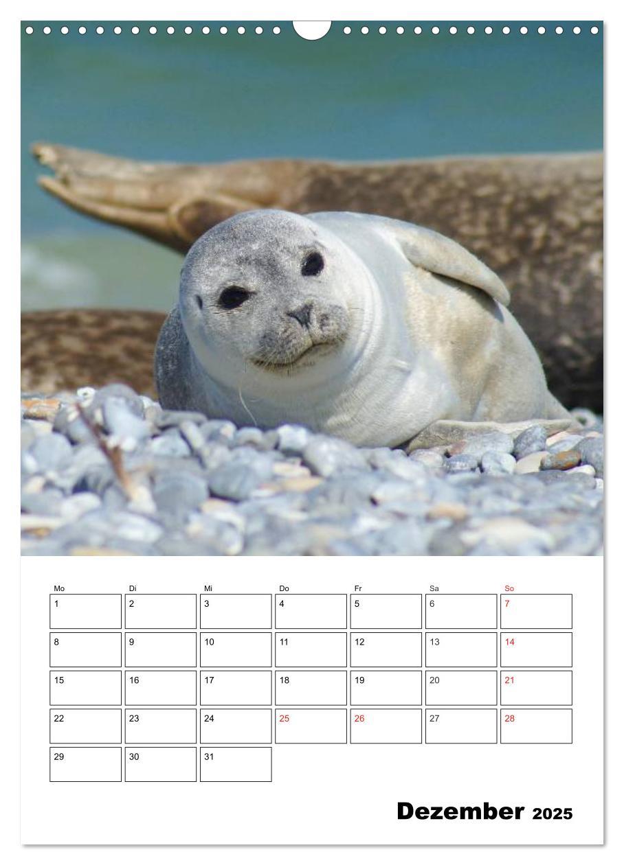 Bild: 9783457008584 | Einzigartige Insel Helgoland (Wandkalender 2025 DIN A3 hoch),...