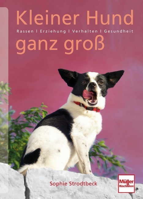 Cover: 9783275019106 | Kleiner Hund ganz groß | Rassen . Erziehung . Verhalten . Gesundheit