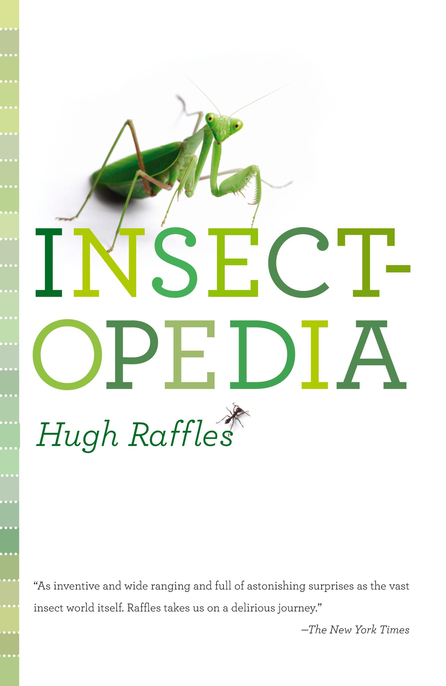 Cover: 9781400096961 | Insectopedia | Hugh Raffles | Taschenbuch | Einband - flex.(Paperback)