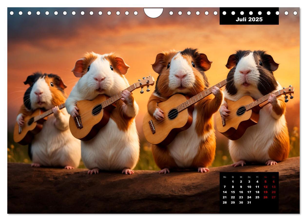 Bild: 9783435011865 | Meerschweinchen mal anders! (Wandkalender 2025 DIN A4 quer),...