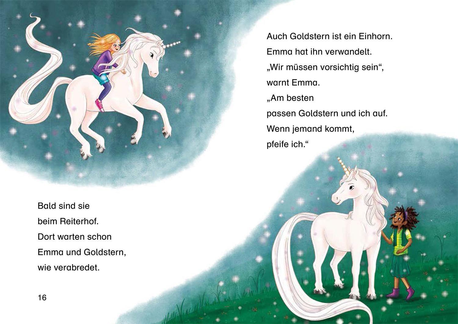 Bild: 9783440171011 | Sternenschweif, Bücherhelden 1. Klasse, Hilfe für die Ponys | Chapman