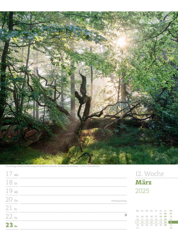 Bild: 9783838425979 | Unser Wald - Wochenplaner Kalender 2025 | Ackermann Kunstverlag | 2025