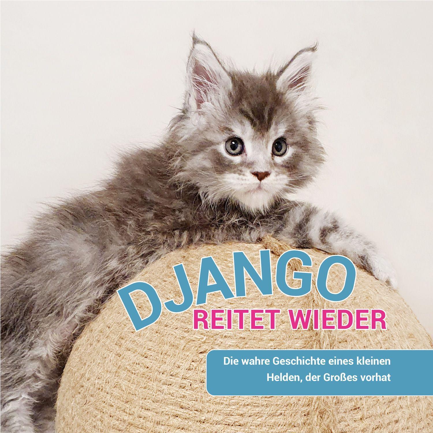 Cover: 9783990254882 | Django reitet wieder | Susanne Jarolim | Buch | 34 S. | Deutsch | 2024