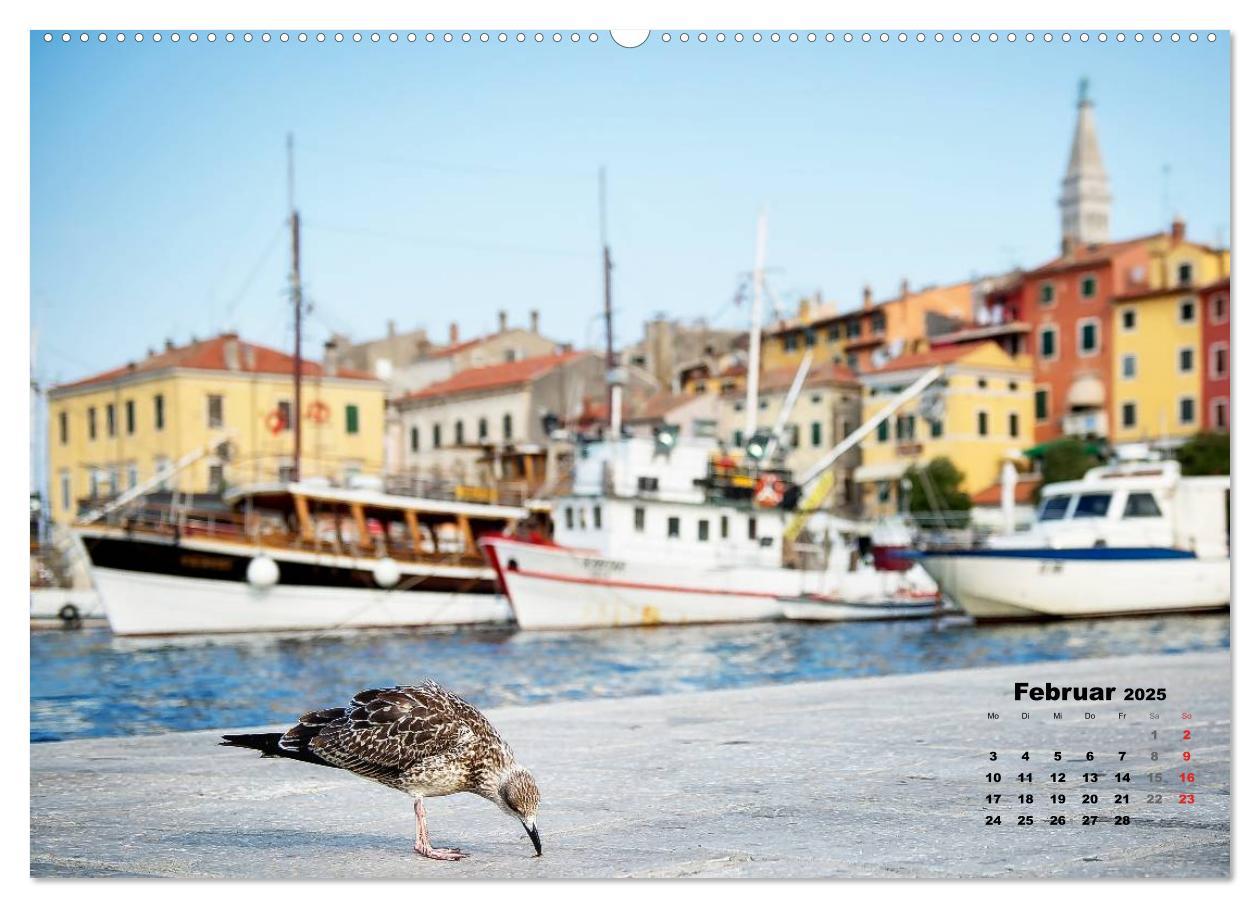 Bild: 9783435570232 | Wie ein Vogel in Rovinj! (Wandkalender 2025 DIN A2 quer), CALVENDO...