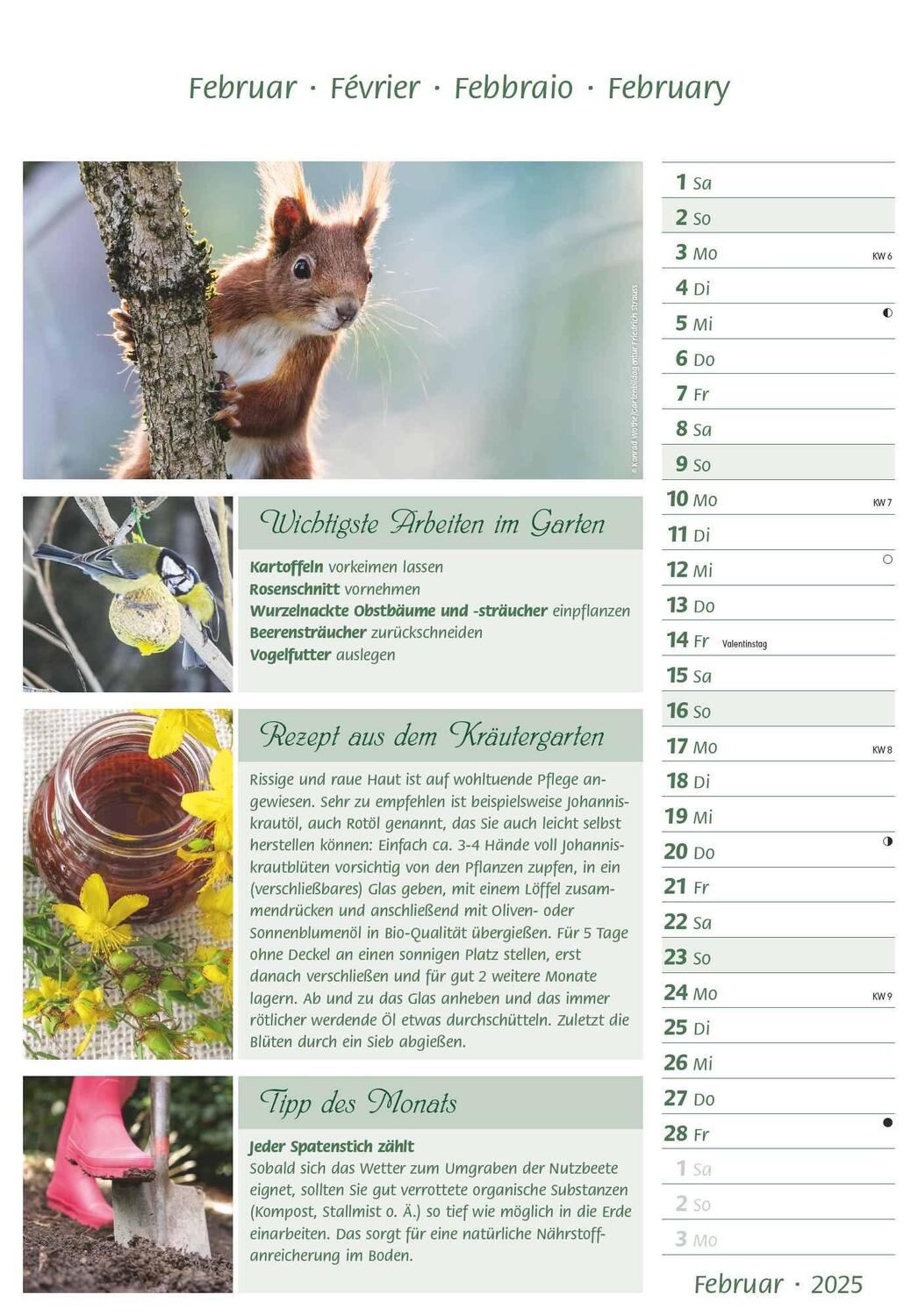 Bild: 4251732341077 | Das Gartenjahr 2025 - Bildkalender 23,7x34 cm - mit saisonalen...